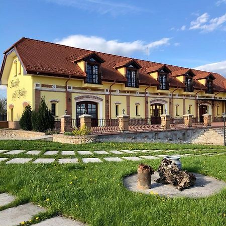 Hotel Kastely Grof Zichy Haniska Esterno foto