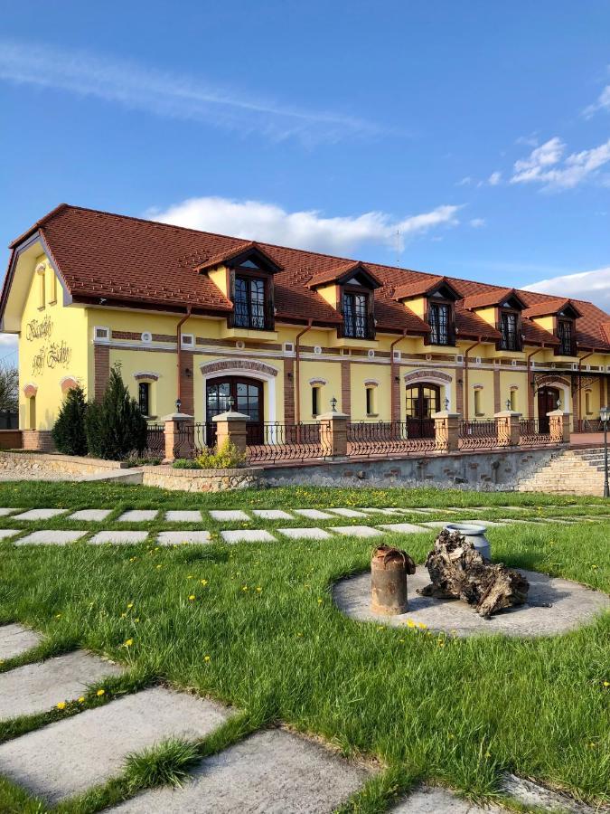 Hotel Kastely Grof Zichy Haniska Esterno foto